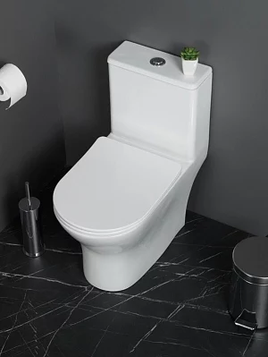 Унитаз моноблок BelBagno Lounge BB8618CPR-MN/SC безободковый