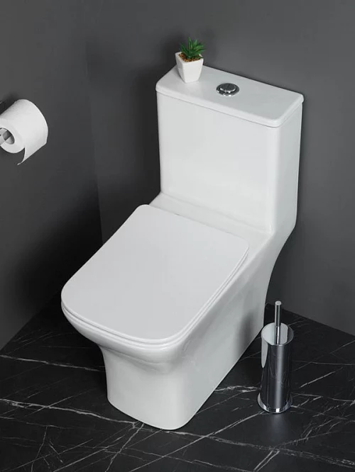 Фото Унитаз моноблок BelBagno Neon BB8617CPR-MN/SC безободковый купить в Новосибирске: цена, описание, фото. Интернет-магазин 1