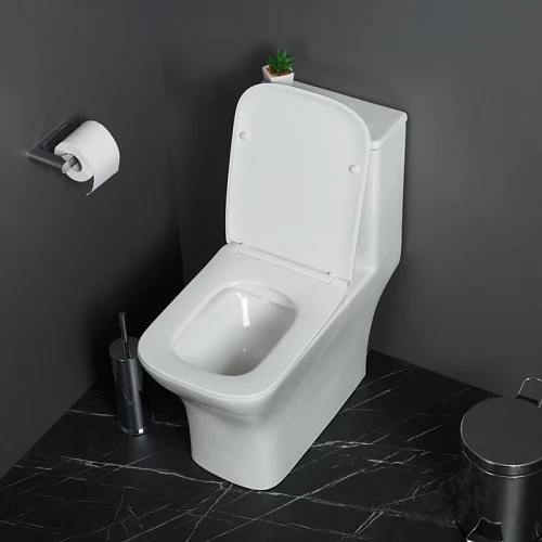 Фото Унитаз моноблок BelBagno Neon BB8617CPR-MN/SC безободковый купить в Новосибирске: цена, описание, фото. Интернет-магазин 2
