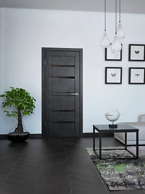 Дверь FlyDoors Барн B01 бетон темный, ПВХ, черное стекло
