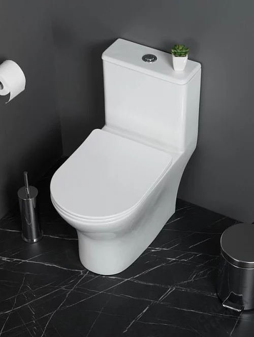 Фото Унитаз моноблок BelBagno Lounge BB8618CPR-MN/SC безободковый купить в Новосибирске: цена, описание, фото. Интернет-магазин 1