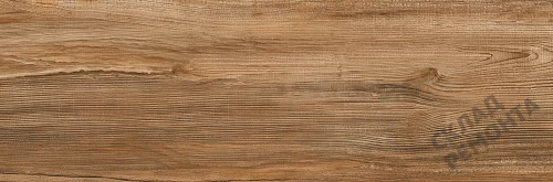 Фото Керамогранит матовый Lasselsberger Ипанема 6264-0011 (структурный) коричневый 200*600*8,5 – купить в Новосибирске: цена, описание, фото. Интернет-магазин 3